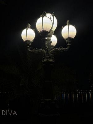 Male international model in Dubai, Diva ID 47593