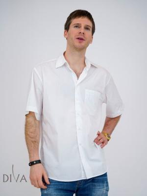 Male international model in Dubai, Diva ID 31993